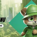 Setting Up Lillienu: A Comprehensive Tutorial